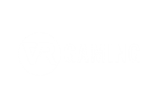 VR Gaming